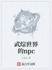 武综世界的npc