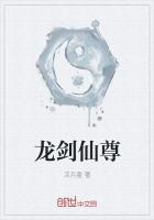 龙剑仙尊