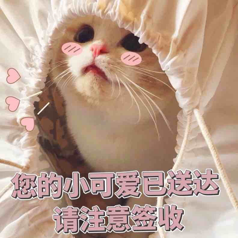 顶配版离婚