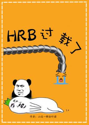 HRB过载了