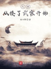 大明从揍了武宗开始